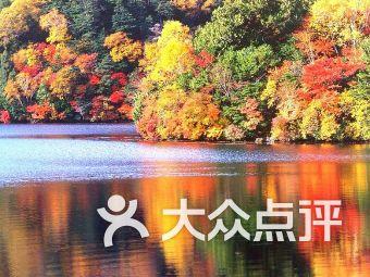加拿大湖发现神秘“水怪”,游动时出现奇怪波浪,它究竟是什么?